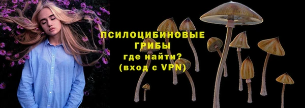 стаф Арсеньев