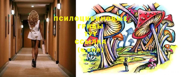 стаф Арсеньев