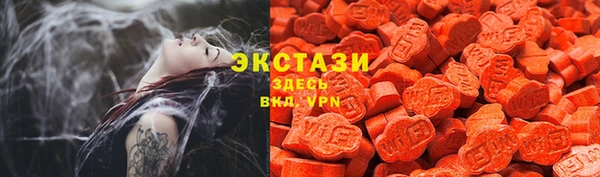 стаф Арсеньев