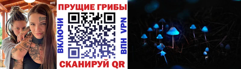 Галлюциногенные грибы MAGIC MUSHROOMS  Узловая 