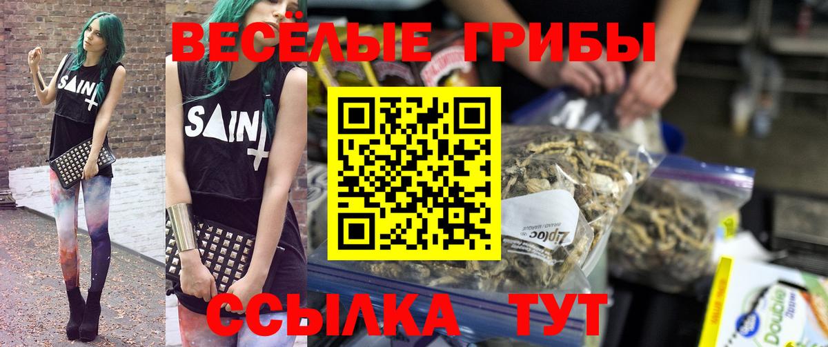 Псилоцибиновые грибы Psilocybe  Галлюциногенные грибы Cubensis  Узловая  Вход с VPN 