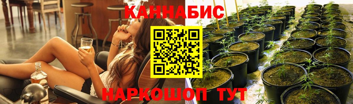 Конопля гибрид  Конопля ГИДРОПОН  Узловая  Вход с VPN 